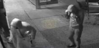 Main image for PHARMACY HEIST SPREE: NYPD Hunts Crew Behind $60K Robbery Wave