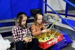 PHOTOS: Erev Sukkos Preparations in Bnei Brak