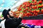 PHOTOS: Erev Sukkos Preparations in Bnei Brak