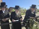 Tashlich and Kapparos by the Liska Rebbe Shlit"a