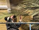 Main image for The Kretchnif Kfar Ata Rebbe Shlit"a Placing the Schach on the Massive Sukkah