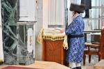 Ma'amad Ne'ilas Hachag and Hakafos Shniyos by the Satmar Bnei Brak Rosh Yeshiva Shlit"a
