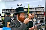 Arba Minim Shuk in Beis Medrash Chakal Yitzchok in Ramah Daled, Beis Shemesh