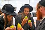 Arba Minim Shuk in Beis Medrash Chakal Yitzchok in Ramah Daled, Beis Shemesh