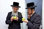 Arba Minim Shuk in Beis Medrash Chakal Yitzchok in Ramah Daled, Beis Shemesh