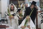 Hoshana Rabba by the Kalisher Rebbe Shlit"a L'Refuah Sheleimah