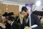 Erev Sukkos Scenes in the Ir HaTorah V'HaChassidus of Lakewood