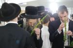 Erev Sukkos Scenes in the Ir HaTorah V'HaChassidus of Lakewood