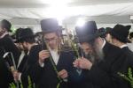 Erev Sukkos Scenes in the Ir HaTorah V'HaChassidus of Lakewood