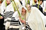 Hoshana Tzaddik Moshio: Hoshana Rabbah and Hakafos Shniyos by the Kretchnif Yerushalayim Rebbe Shlit"a