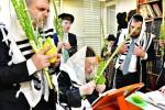 Chag HaSukkos 5787 by the Rosh Yeshiva HaGaon Rav Meir Tzvi Bergman Shlit"a
