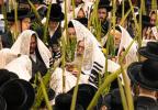 V'Yom Tov Haya Oseh: Chag HaSukkos by the Tosher Rebbe Shlit"a