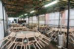 The Arba Minim Shuk in Moscow's Marina Roscha Neighborhood Bustles With Hundreds of Customers, Sochrim, and Visitors, an Incredible Sight in a Country With a Bloody Past.