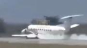 SAFARI FLIGHT GONE WRONG: Zebra Strike Triggers Dramatic Belly Landing