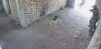 MACHINE FRONTLINE: Armed Robot Dogs Now Storm Buildings Before Soldiers