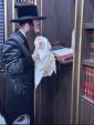 Al Netilas Lulav: The Kossov Lakewood Rebbe Shlit"a Purchasing Mehudar Daled Minim