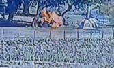 Main image for WATCH: Gas Canister Explosion Injures Four Yeshiva Bochurim at Kinneret Beach