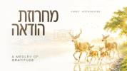 Main image for  Yanky Hochhauser - Medley of Gratitude