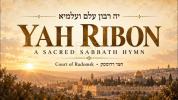 Main image for Yah Ribon | Chaim Adler Performs the Historic Radomsk Melody