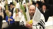 Main image for "Az Yeranenu Kol Atzei Yaar": The Uplifting Avodas Naanuim of the Toldos Yehuda Rebbe Shlit"a &ndash; Sukkos 5787