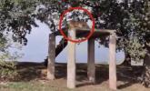 Main image for TERRIFIED WITNESSES RECALL HORROR: Park Visitors Describe Final Moments At Tiger Enclosure