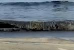 Main image for OIL POLLUTION: UAE Beaches Closed as Contaminated Seawater Washes Ashore Following Tanker Attack