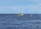 Main image for DANGEROUS SEA INTERCEPTION: Coast Guard Stops Overloaded Boat Carrying 66 Migrants in Caribbean Waters