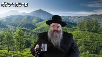 R' avrohom mordechai Malach; shiur on Parshas vayishlach