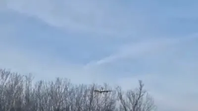 American Airlines Flight Diverts to Rome Amid Security Scare, Escorted by Italian Fighter Jets