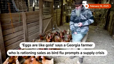 Eggs Prices Soar as Georgia Farmer Limits Sales Amid Bird Flu Crisis and Supply Chain