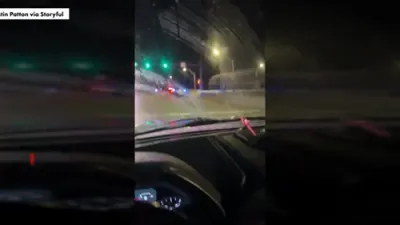 Cow on the loose causes chaos on Florida interstate