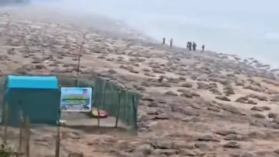 A Spectacle of Nature: Mass Turtle Nesting Event Unfolds in Odisha