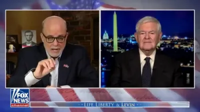 Newt Gingrich Calls Out 'Radical Judges' and  Urges Congress to Consider Impeachment