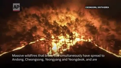 Wildfires Kill 18 in Southern South Korea
