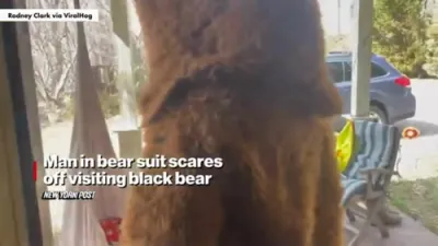North Carolina Man Scares Off Real-Life Black Bear by Wearing a Bear Costume.