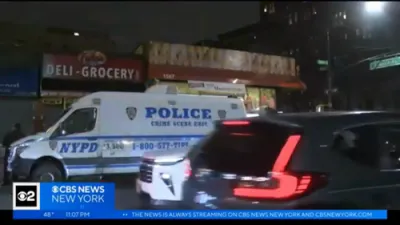 NYPD Investigating Deadly Bodega Stabbing in Brooklyn