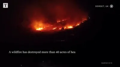 40 Acres of Rare Heathland Destroyed in Suspicious Wildfire.