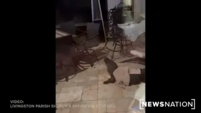 Louisiana Deputies Take Down 9-foot Gator in Home