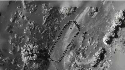 Trump Ahres Jaw-Dropping Footage of U.S. Airstrike Decimating Houthi Forces