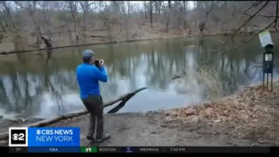 Rare Bird Sightings Soar in Brooklyn