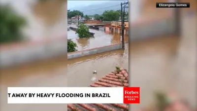 Raging Floods Sweep Away Cattle Herds in Brazil