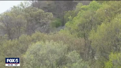 Coyote Howls Haunt the Bronx Leaves Sleepless Nights for Residents.