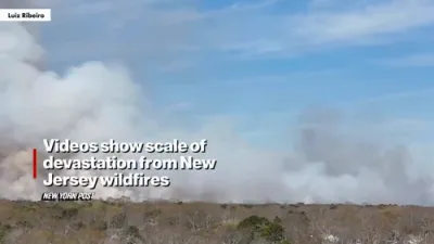 Video Reveals Devastation From New Jersey Wildfires.
