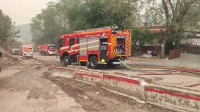 Israeli Wildfires Rage into the Night as Crews Battle Fire.