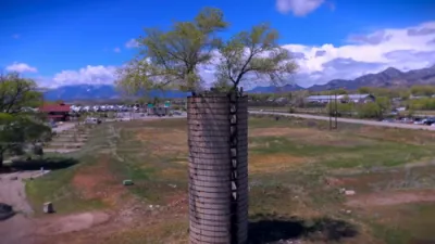 Tree Sprouts from Abandoned Grain Elevator.