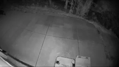 Mama Bear & Cubs Make Themselves at Home in North Carolina Neighborhood. 