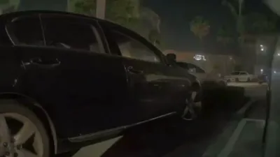 dog snatched From Parked Tesla in Hesit.
