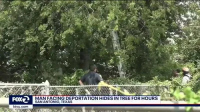 Man Facing Deportation Hides in Tree for Hours.
