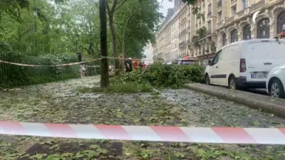 Lightning Strike Topples Tree, Smashes Cars in Paris Amid Hailstorm Chaos. 