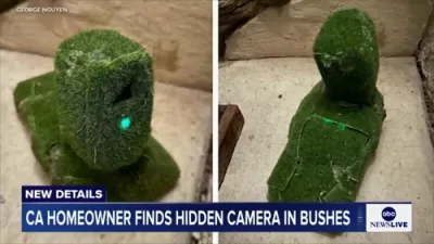 California Homeowner Discovers Hidden Camera Disguised with Fake Grass in Bushes